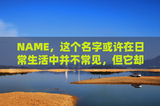 NAME，这个名字或许在日常生活中并不常见，但它却在某些领域里扮演着重要的角色。今天，让我们一起来探索这个名字背后的故事和意义
