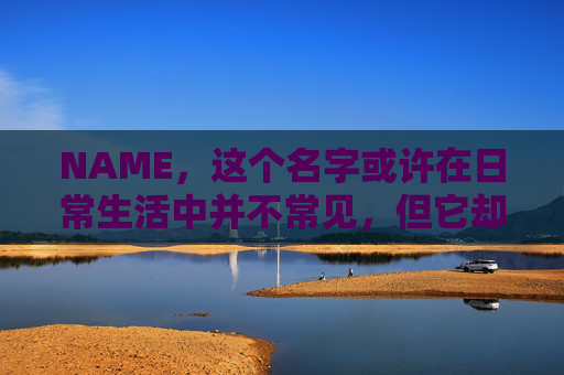 NAME，这个名字或许在日常生活中并不常见，但它却在某些领域里扮演着重要的角色。今天，让我们一起来探索这个名字背后的故事和意义